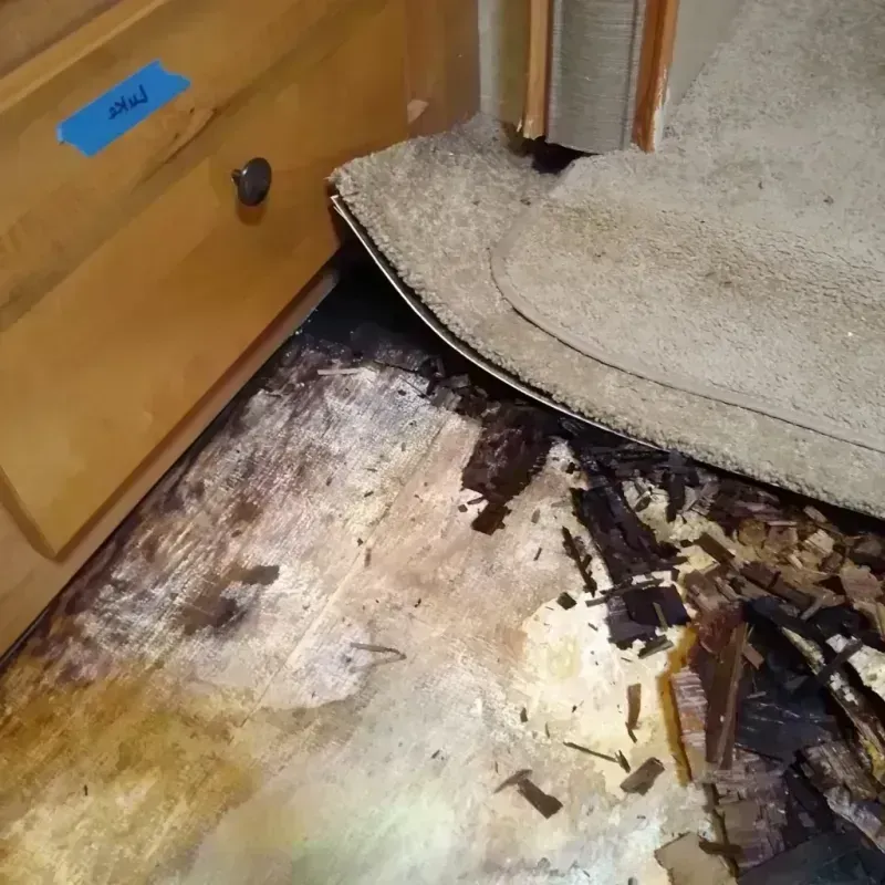 Wood Floor Water Damage in Hale County, AL